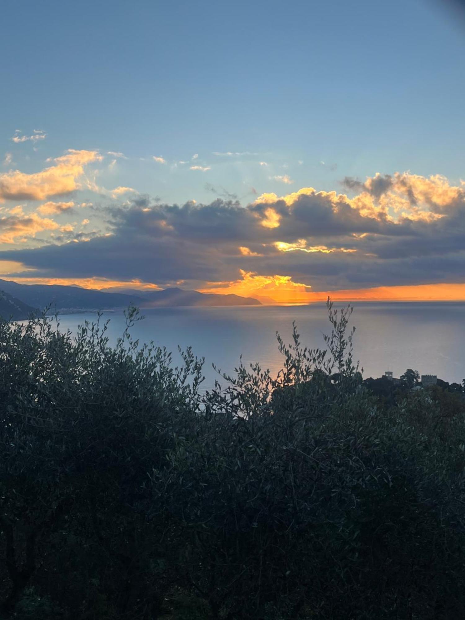 La Conchiglia Bed & Breakfast Camogli Exterior foto